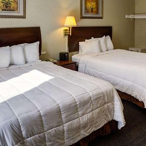 King Room Mobility accessible