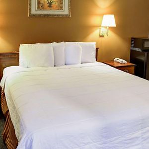 King Room Mobility accessible